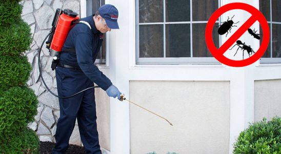 Nazilli Kemirgen İlaçlama böcek ilaçlama ve haşere kontrolü — ilaclama-tr.com